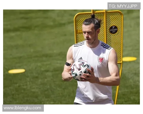 2016欧洲杯赛程详解俄罗斯与威尔士对决精彩瞬间回顾与分析