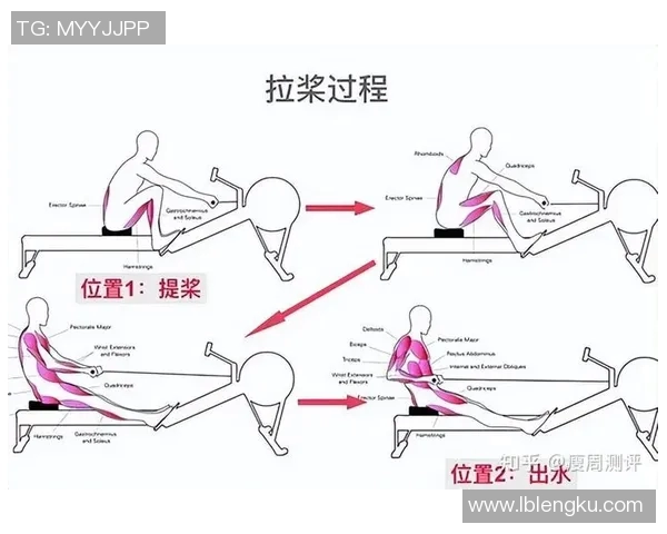 全面锻炼背阔肌的哑铃训练方法与技巧分享